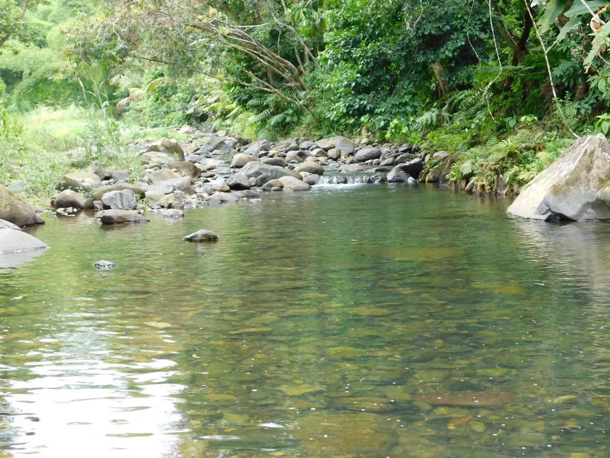 Villa Del Rio And Hacienda Monte Rey Access Luquillo Holiday home